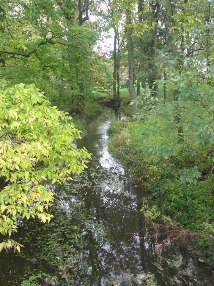 blacklickcreekplaintownship