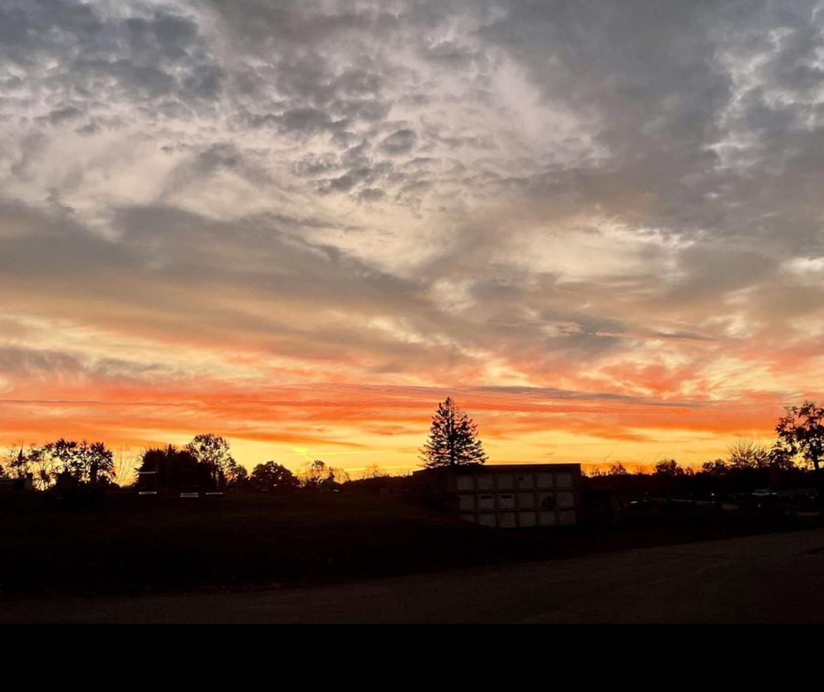 plaintwpnewalbanysunset